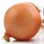 Лук репчатый Мастер 1гр