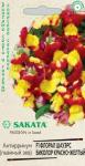 цАнтирринум Флорал Шауэрс биколор красно-желтый (Львиный зев)7шт Элитная клумба (1071856935)