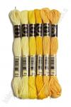 Набор ниток мулине (6 шт) SF-4104, №55