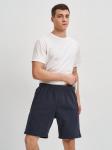 Шорты мужские 24154-461