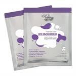 Гидрогелевая маска ЛЕДЯНОЙ ГРИБ / HYDROGEL MASK ICE MUSHROOM, 1 шт, KRISTI