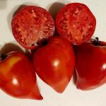 Томат Заилийский Алатау 10шт