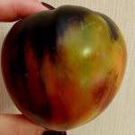 Томат Блаженство 10шт