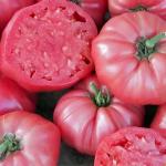 Томат Брендивайн розовый 10шт