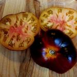 Томат Бузэу 5шт