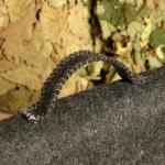 Набор для бани и сауны «Директор бани», 5 предметов: шапка, коврик, рукавица, тапочки, портфель, «Банная забава»