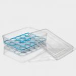 Контейнер для хранения яиц Доляна, 20 ячеек, 27.5?22?7 см, пластик, МИКС