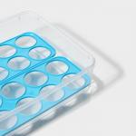 Контейнер для хранения яиц Доляна, 20 ячеек, 27.5?22?7 см, пластик, МИКС