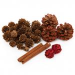 "Blumentag" DRS-01 Набор природных материалов 01 красный