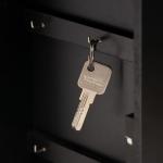 Ключница настенная «Велосипед с корзинкой с цветами», дерево, чёрная, зеркальная, 6?22.3?29.5 см