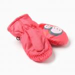 Варежки MINAKU