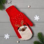 Варежки подарочной KAFTAN