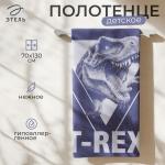 Полотенце махровое «Этель» T-REX, 70?130 см, хлопок 100%, синее