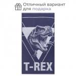 Полотенце махровое «Этель» T-REX, 70?130 см, хлопок 100%, синее