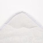 Одеяло всесезонное Адамас «Лебяжий пух», размер 172?205±5 см, 300 г/м?, чехол поплин