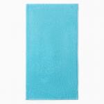 Полотенца махровые «Этель» Cherry, 3 шт., 30?60 см, хлопок 100%, голубые