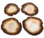 Агатовые срезы на 4 персоны "Подставка под горячее", 595г (N)