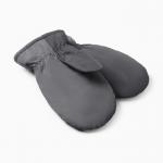 Варежки женские MIST, с меховым утеплителем, размер 26 см, серые