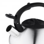 VETTA Чайник стальной 2.3л матовый, индукция