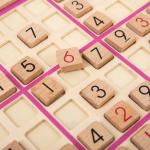 "DELFBRICK" DLS-25 Головоломка деревянная 1 шт 2-й сорт