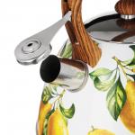 VETTA Чайник стальной 2,7л "Лимоны", индукция