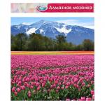 Алмазная мозаика «Горный пейзаж», 40?50 см, без подрамника, частичное заполнение