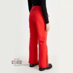 Брюки лыжные