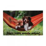 Коврик влаговпитывающий  Samba  50*80 см. Собаки в гамаке,  VORTEX