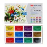 Акварель художественная в кюветах «ЗХК. Сонет. Ботаника», 12 цветов ? 2.5 мл