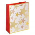 Пакет тм СНОУ БУМ подарочный, 26x32x10см, тиснение, бумага, арт.21, 4 дизайна