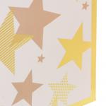 Пакет тм СНОУ БУМ подарочный, 26x32x10см, тиснение, бумага, арт.21, 4 дизайна