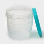 Набор банок для хранения продуктов с крышкой «Фиджи», 2 шт.: 0.7 л, 1 л, крышка МИКС