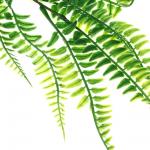 LADECOR Цветок искусственный папоротник, 72 см, пластик