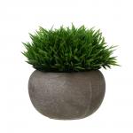 LADECOR Искусственная зелень в кашпо, 9,5x9,5x11,5 см, пластик, целлюлоза, 2 цвета