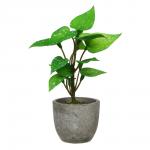 LADECOR Цветок искусственный в кашпо, 6х15 см, целлюлоза, PU, пластик, 2 дизайна