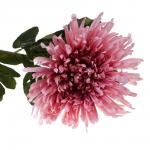 LADECOR Хризантема искусственная, 71 см, пластик, ткань, 4 цвета