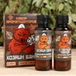 Набор ароматизаторов «Хозяин бани», в подарочной коробке, пихта, кедр, 2 шт. по 100 мл