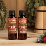 Набор ароматизаторов 2 шт. по 100 мл «С новым годом!», пихта, лимон, мята