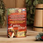 Набор ароматизаторов 2 шт. по 100 мл «С новым годом!», пихта, лимон, мята