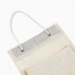 Органайзер для хранения подвесной «Кот», 20?53 см