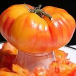 Томат  Восторг Арканзаса 10шт