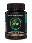Подкормка для растений «Мультиформула. Пересадка и приживаемость», 100 мл