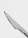 Нож для стейка Hanna Kn?vell, 22.3 см, толщина 6 мм, сталь Aisi 420, серебристый