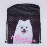 Мешок для обуви черный