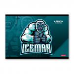 "Светоч" 16АЛСК4_1_3_9 Альбом для рисования 100 г/м2 A4 29 х 20.5 см 16 л. на скобе 10 шт.