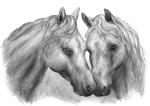"ФРЕЯ" RPSB-0046 "Лошади" Скетч для раскраш. чернографитными карандашами 29.5 х 20.5 см 1 л.