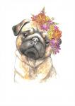 "ФРЕЯ" RPSA-0010 "Милый мопс" Скетч для раскраш. акварельными карандашами 29.7 х 21 см 1 л.
