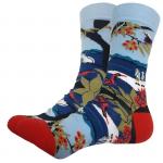 В гармонии с природой | Носки Весна в Японии, р-р 36-40 (красно-голубой)