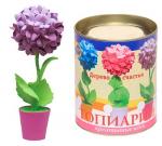 ТПМ-07. Набор для творчества топиарий Гортензия