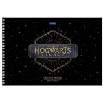 Гарри Поттер | Premium альбом для рисования А4,20л "Hogwarts Legacy" (черный) 20А4лтAгр_30061